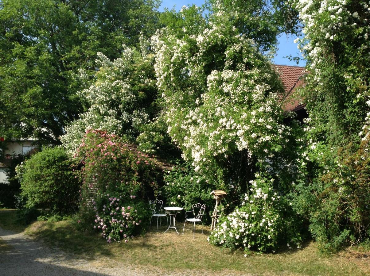 Landloft Haus Probst Apartment Schondorf am Ammersee Ngoại thất bức ảnh